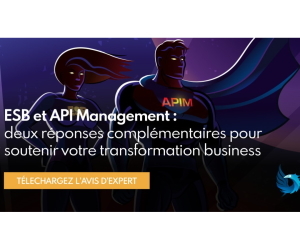 Avis d'expert ESB APIM